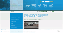 Desktop Screenshot of calcialiment.fr